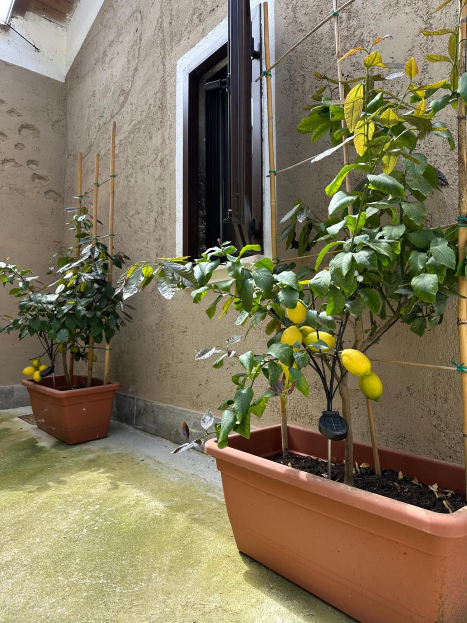 פואניאגו B&B La Corte מראה חיצוני תמונה
